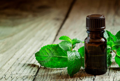 Peppermint Oil with Plant Leaves