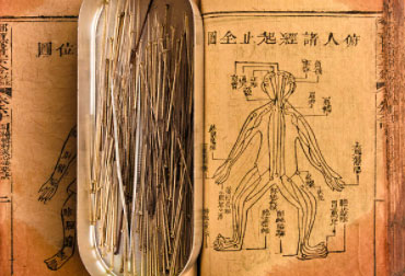 Traditional Chinese Body Chart